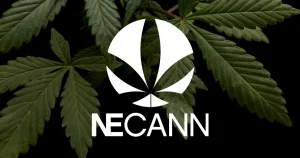 NECANN Boston 2025