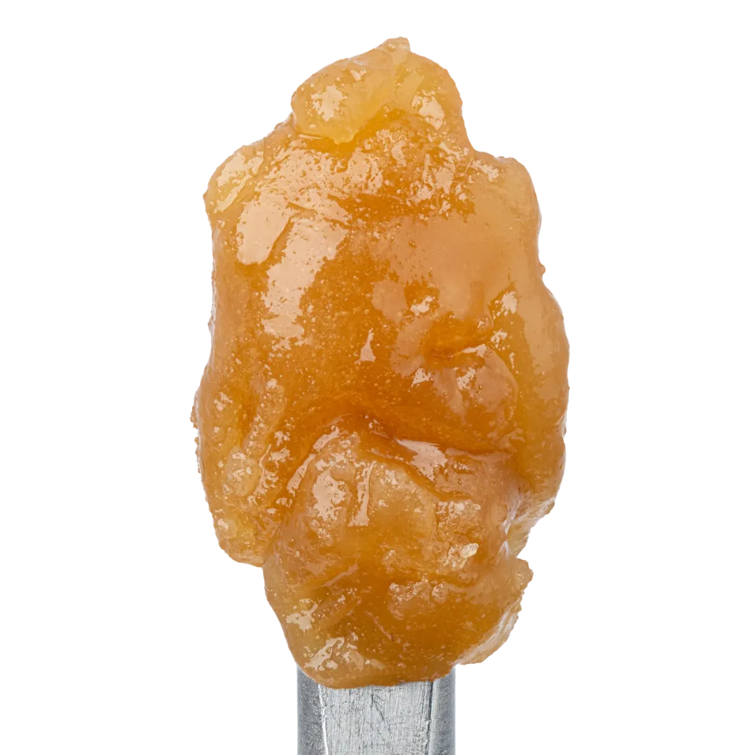 Gelato THCA Sugar Dabs - The Hemp Spectrum