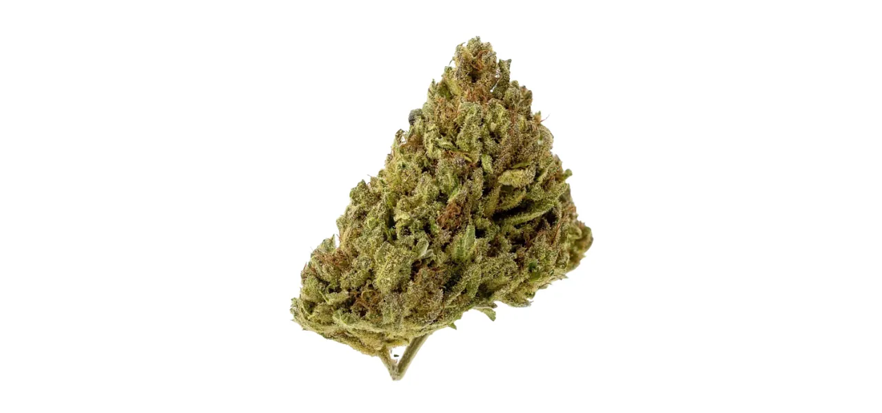 CBD Flower